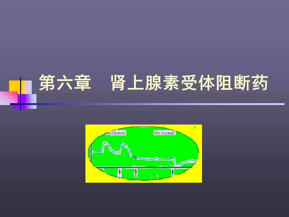 第六章-肾上腺素受体阻断药课件.ppt_第1页