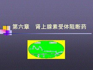 第六章-肾上腺素受体阻断药课件.ppt