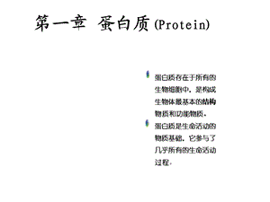 生物化学蛋白质课件.ppt