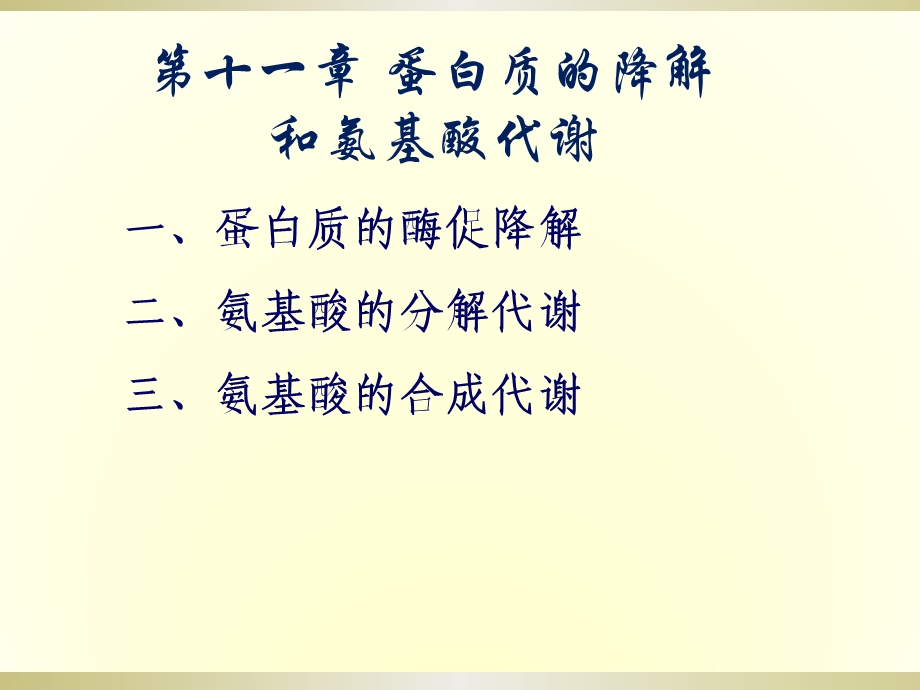 蛋白质的酶促降解氨基酸的分解代谢氨基酸的合课件.ppt_第1页