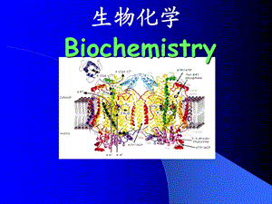 生物化学0226.ppt