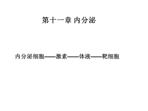 生理学内分泌总结.ppt