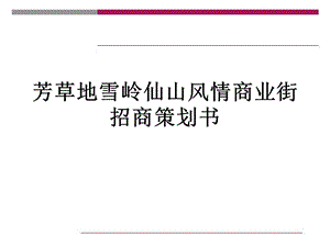 某风情商业街招商策划方案课件.ppt