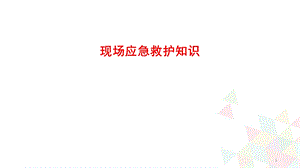 现场应急救护知识课件.ppt