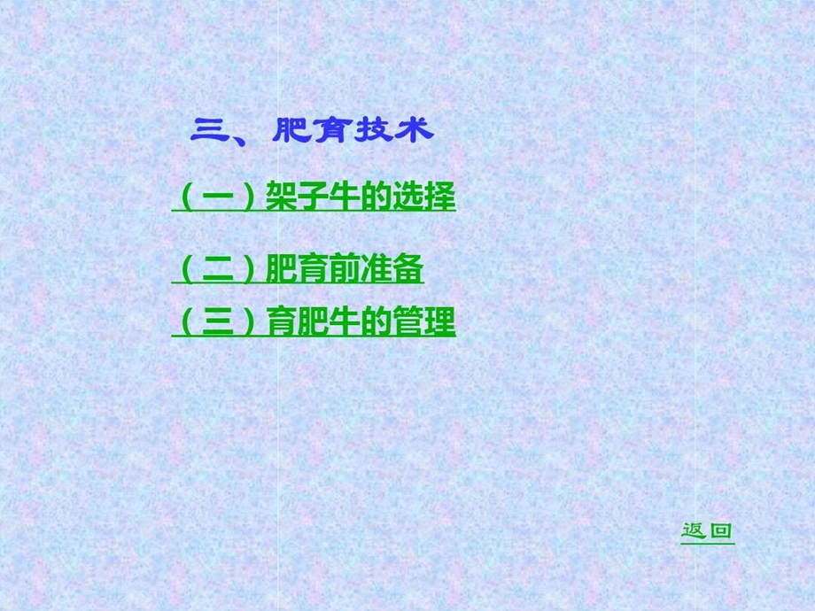 肉用牛的高效育肥技术肥育技术课件.ppt_第2页