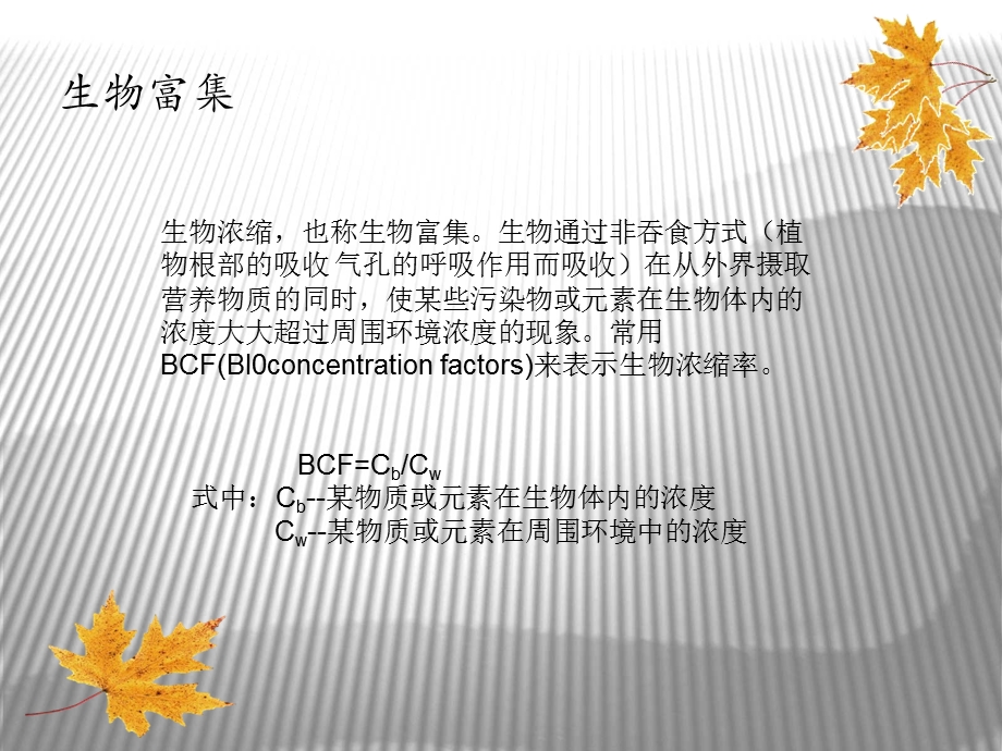 环境生物化学..ppt_第3页