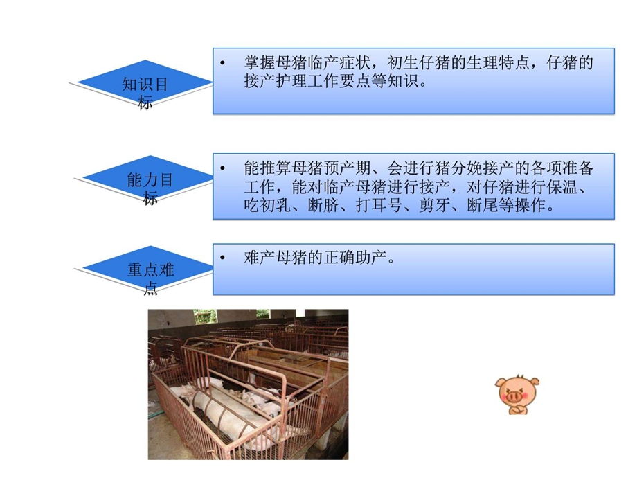 《猪的分娩接产》课件.ppt_第2页