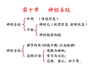 生理学课件神经.ppt