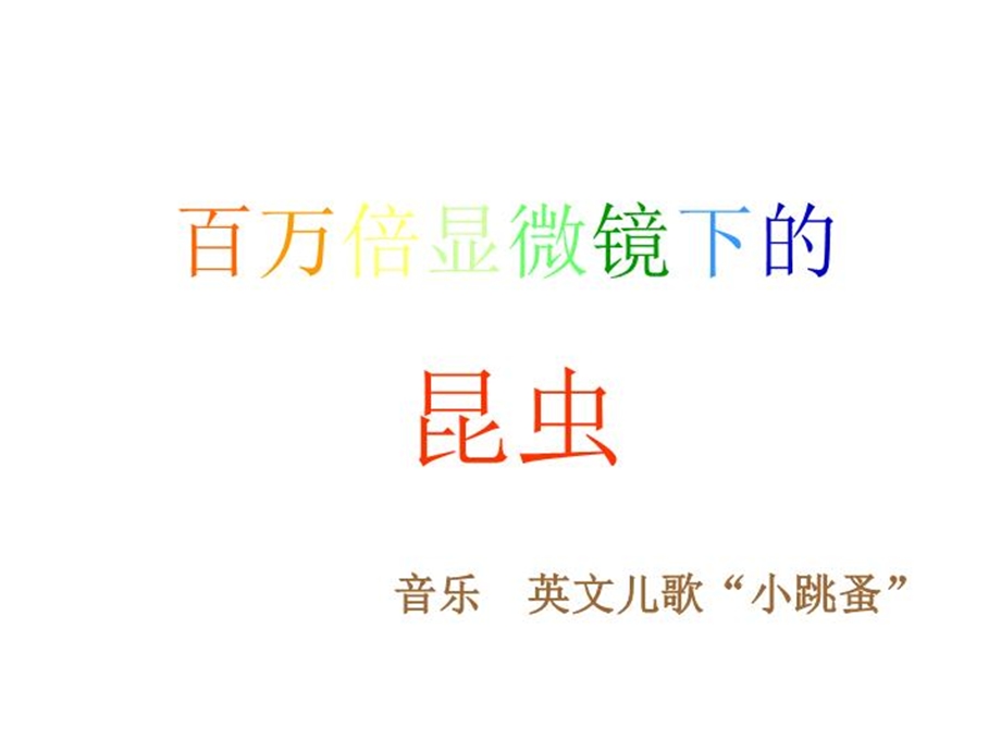 显微镜下昆虫课件.ppt_第2页