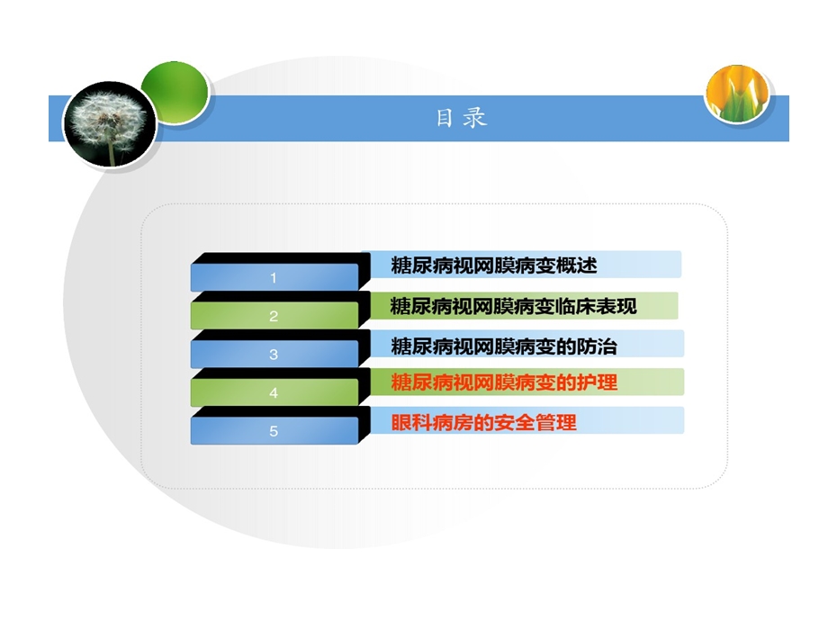 糖尿病性视网膜病变护理课件.ppt_第2页