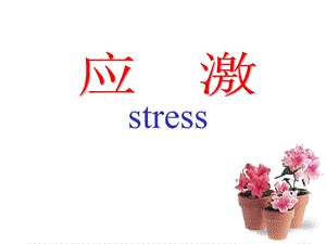 病理生理学应激.ppt