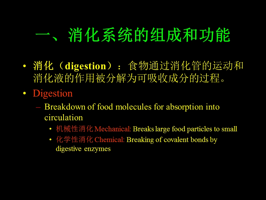 生理学之消化系统.ppt_第3页