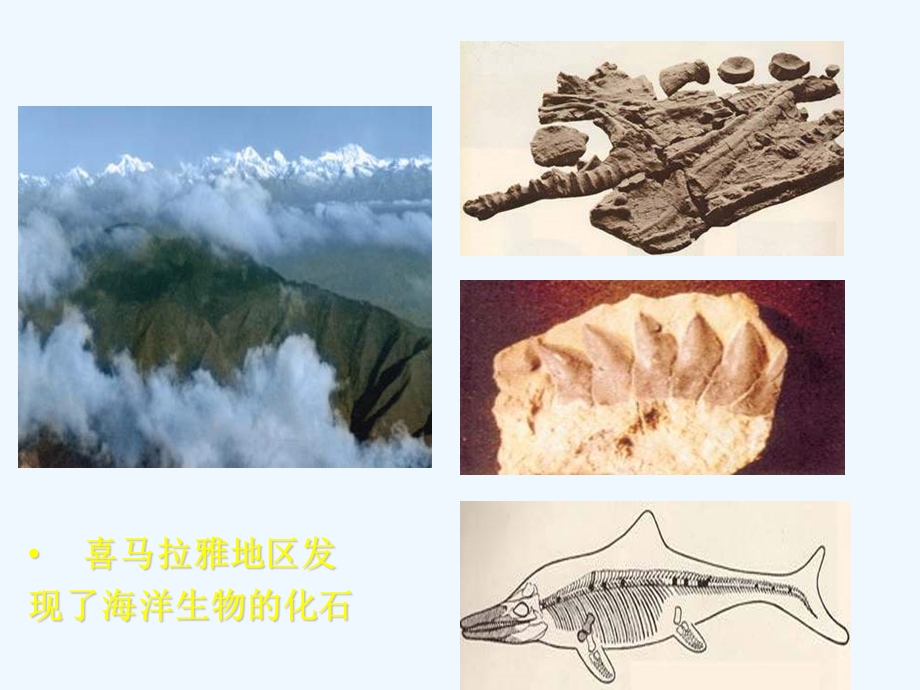 湘教版地理七上《海陆变迁》课件.ppt_第3页