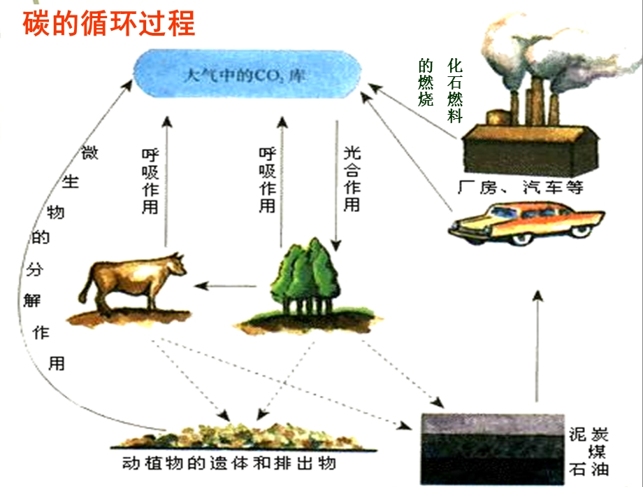 生态系统的物质循环(上课用)课件.ppt_第2页