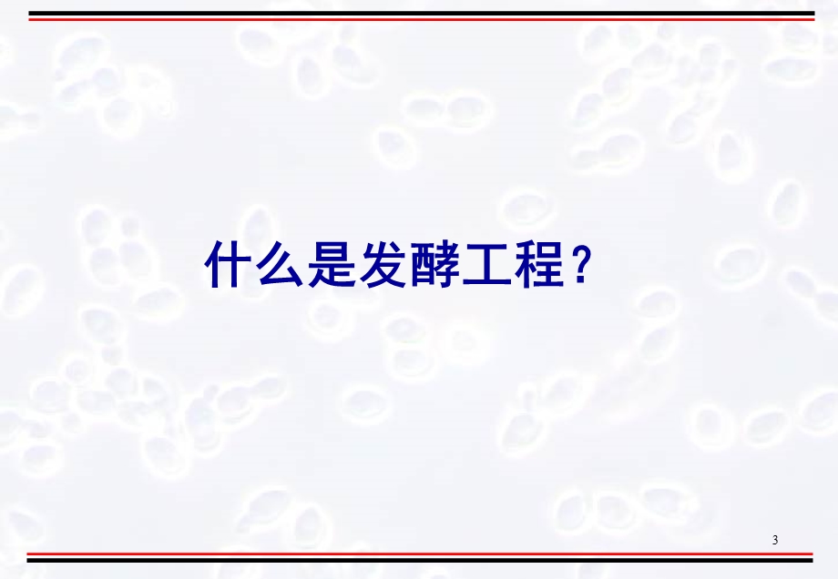 第一章-发酵工程的过去、现在和未来课件.ppt_第3页