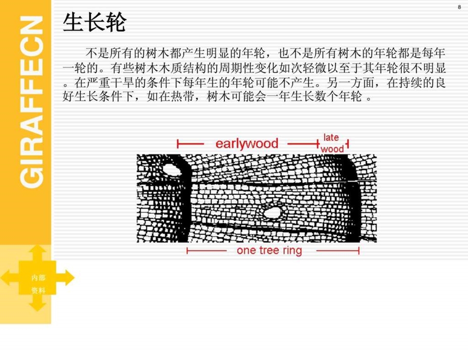 木材的基本知识课件.ppt_第3页