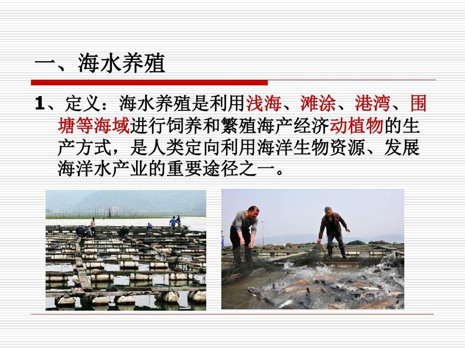 海水养殖对海洋环境的影响概要课件.ppt_第3页