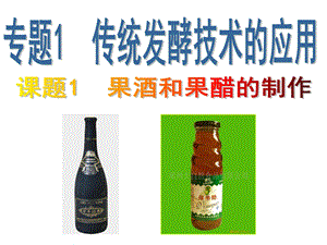 果酒的作用果酒汲取了水果中的全部营养而做成的酒其中课件.ppt