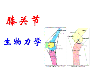 膝关节生物力学课件.pptx