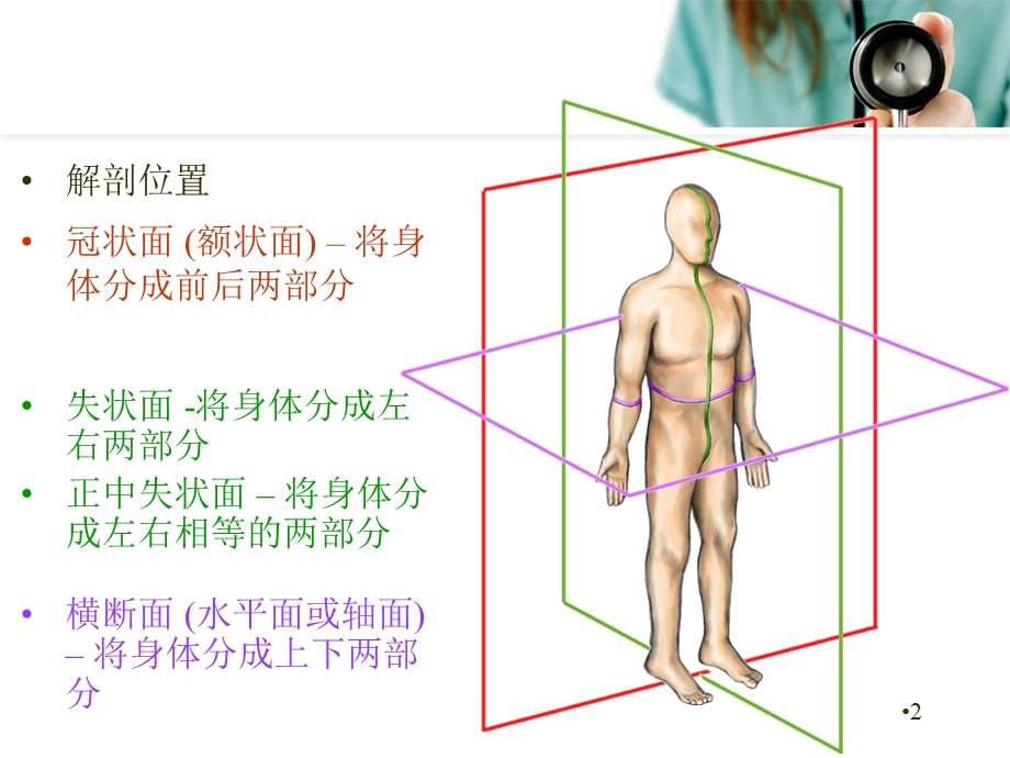 脊柱解剖基础学习ppt课件.ppt_第2页