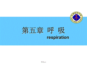 生理学呼吸系统.ppt