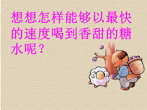 溶解的快与慢课件.ppt