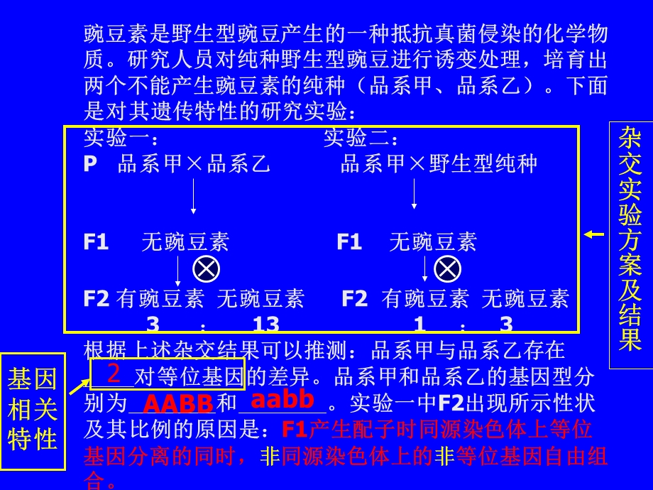 遗传题解题思路课件.ppt_第3页