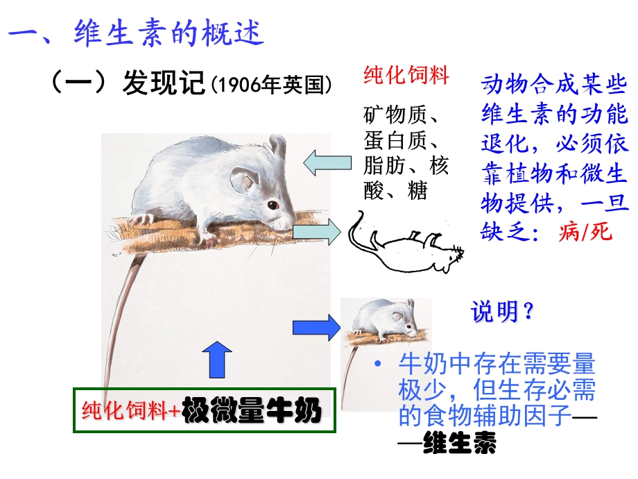 第四章维生素和辅酶选编课件.ppt_第2页