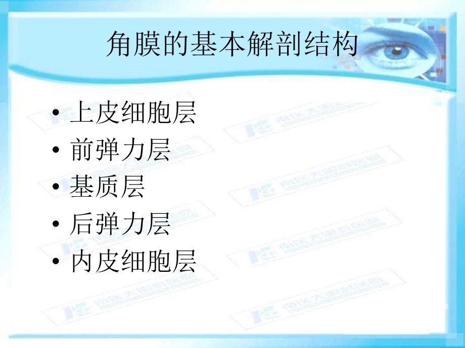 激光共焦角膜显微镜和角膜内皮镜-ppt课件.ppt_第3页