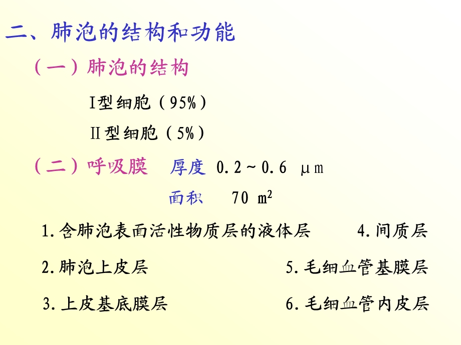 生理学课件呼吸施.ppt_第3页