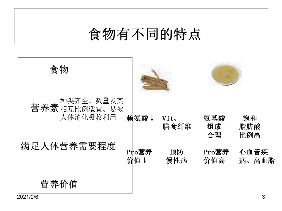 第一节植物性食物的营养价值分析课件.ppt_第3页