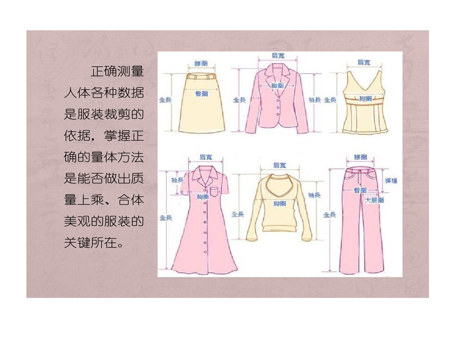 服装量体方式的方法课件.ppt_第2页