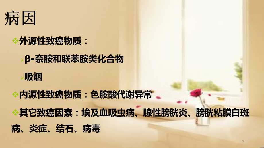 膀胱癌围手术期护理课件.ppt_第3页