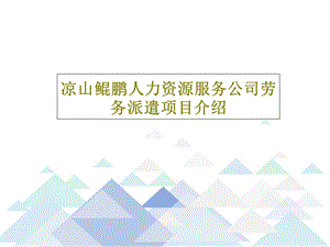 某人力资源服务公司劳务派遣项目介绍课件.ppt