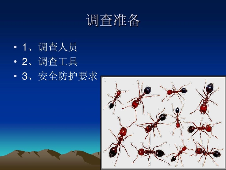 红火蚁完整调查普查方案课件.ppt_第1页