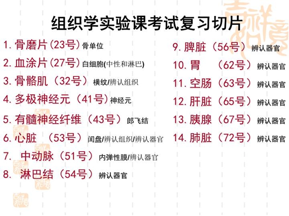 本科大一组织与胚胎实验课复习课件.ppt_第2页