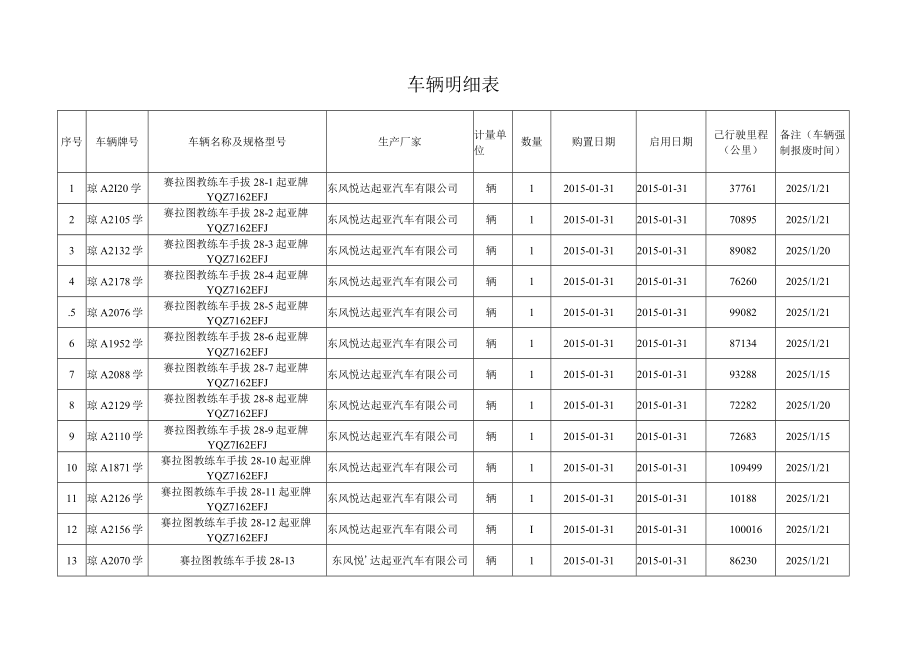 车辆明细表.docx_第1页