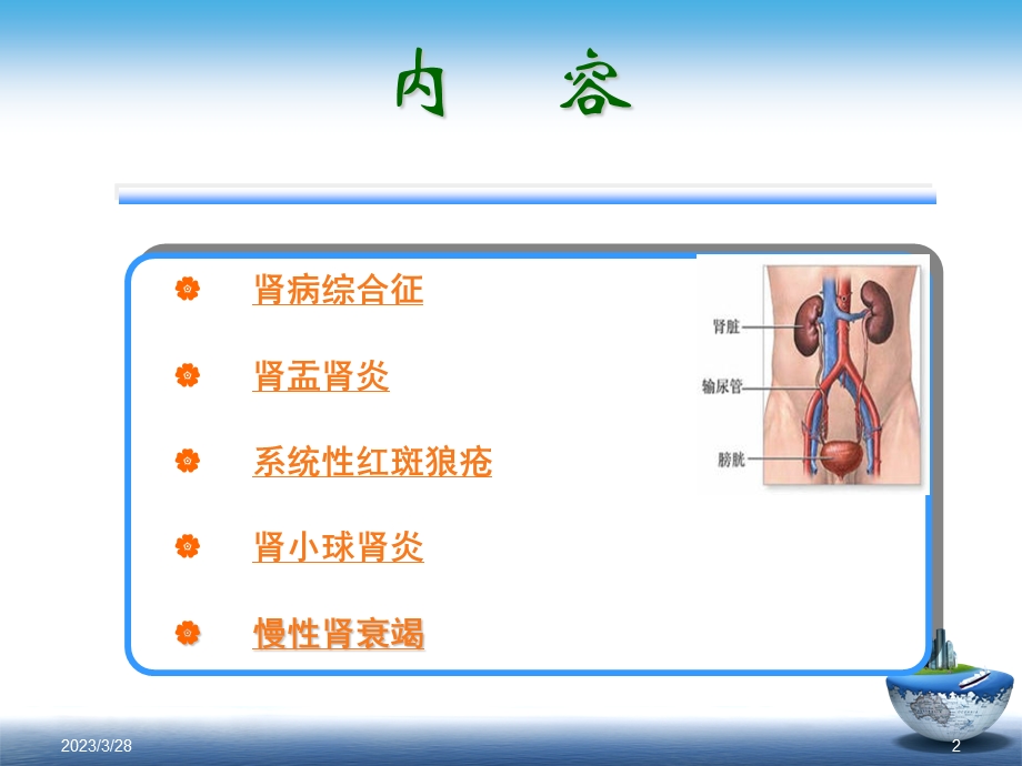 肾脏内科常见病患者的健康指导参考ppt课件.ppt_第2页