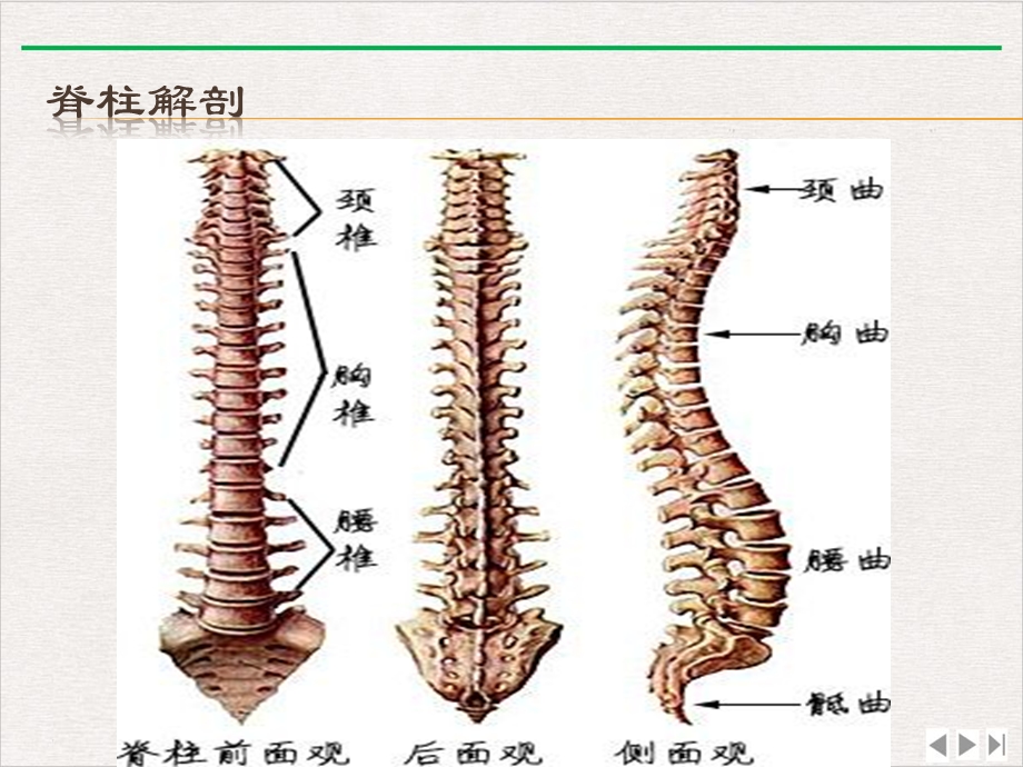 经皮椎体成形术的护理ppt完美版课件.pptx_第2页