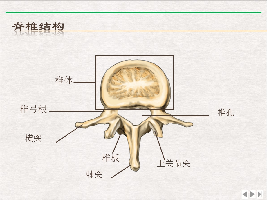 经皮椎体成形术的护理ppt完美版课件.pptx_第3页