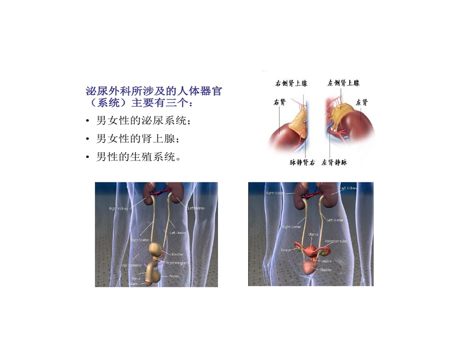 泌尿外科研究领域分析课件.ppt_第2页