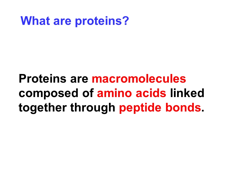 生物化学(双语).ppt_第3页