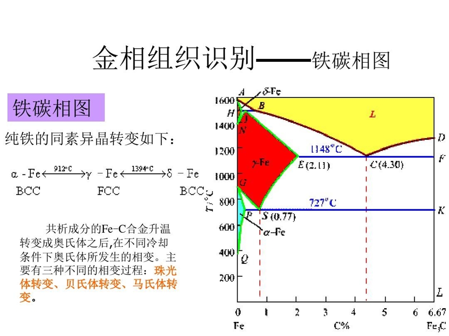 金相组织识别铁碳相图课件.ppt_第3页