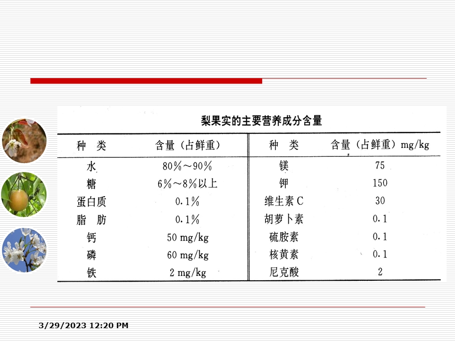 梨果生产技术课件.pptx_第3页