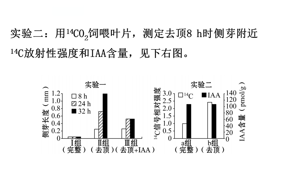 植物激素调节的探究课件.ppt_第3页