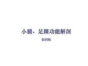 足踝部解剖讲课方案课件.ppt