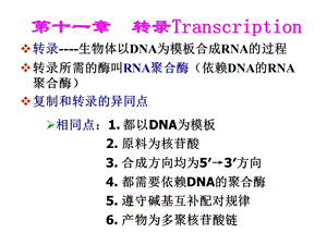 生物化学之转录.ppt