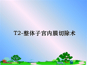 T2-整体子宫内膜切除术课件.ppt