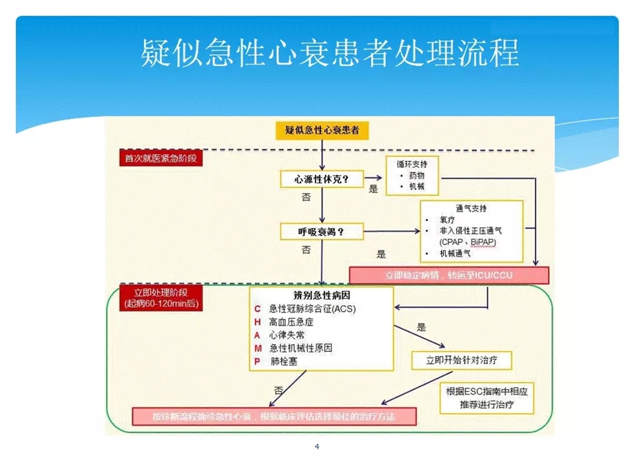 esc急性心衰诊疗指南课件.ppt_第3页