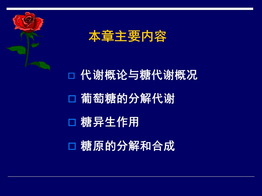 生物化学课件7糖代谢.ppt_第2页